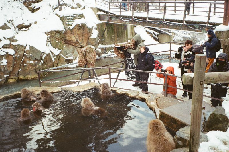 kyoto university primate research institute